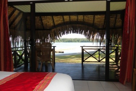 Hibiscus Moorea - 9