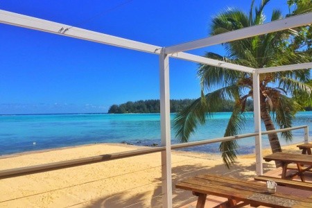 Hibiscus Moorea - 12