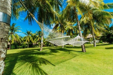 Bohol Beach Club - 6