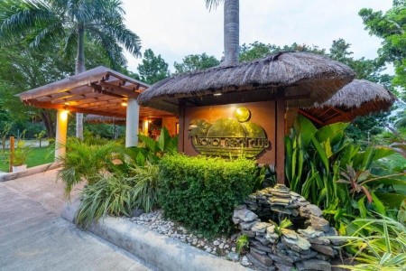 Bohol Beach Club - 8