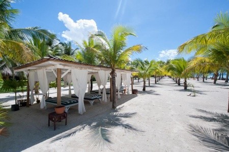 Bohol Beach Club - 16