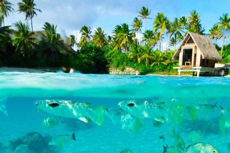 Intercontinental Bora Bora Resort &Thalasso Spa - 12