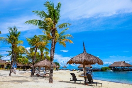 Bluewater Panglao Beach Resort - 6