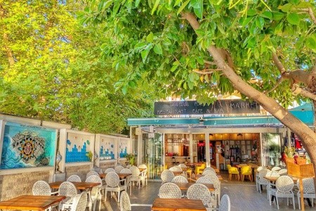 Leda Beach - 22