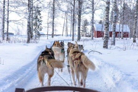 Polární expres: Helsinki → Rovaniemi - 7