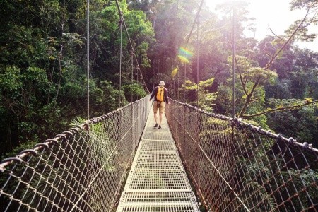Kostarická odysea - od Pacifiku ke Karibiku: Corcovado, Tortuguero, Arenal, Monteverde - 9