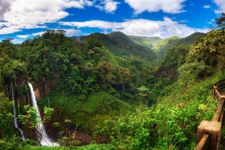 Kostarická odysea - od Pacifiku ke Karibiku: Corcovado, Tortuguero, Arenal, Monteverde - 15
