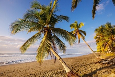 Kostarická odysea - od Pacifiku ke Karibiku: Corcovado, Tortuguero, Arenal, Monteverde - 18