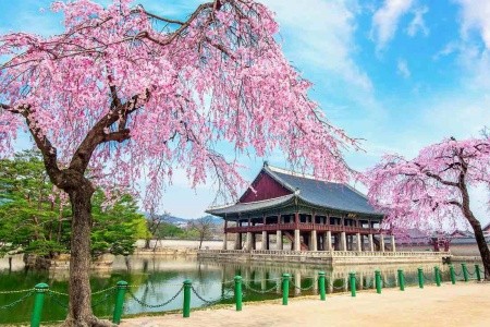Dél-Korea - 4*-Os Szállodák
