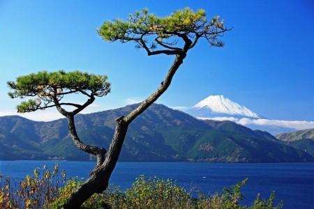 Japonsko - 14