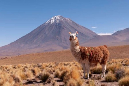 Poznejte Peru - 7