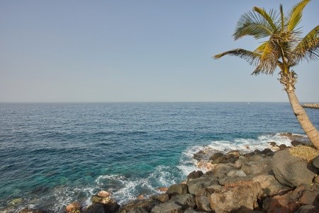 Hyatt Ziva Jardín Tropical Tenerife - 27