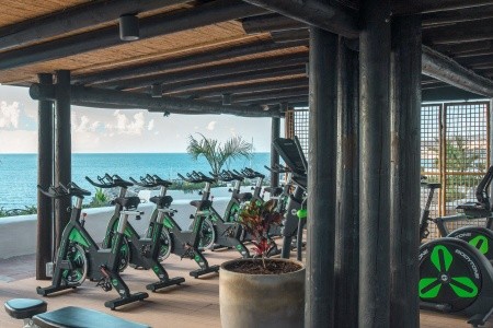 Hyatt Ziva Jardín Tropical Tenerife - 33