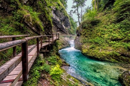 Jezero Bled a soutěska Vintgar - 11