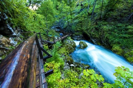 Jezero Bled a soutěska Vintgar - 13