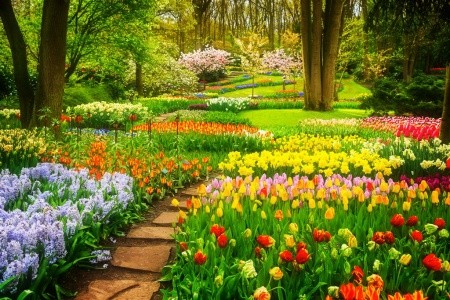 Květinový park Keukenhof a procházka Amsterdamem - 7