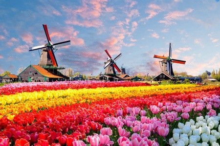 Amsterdam, Keukenhof, Květinový průvod a Holandské Benátky - 4