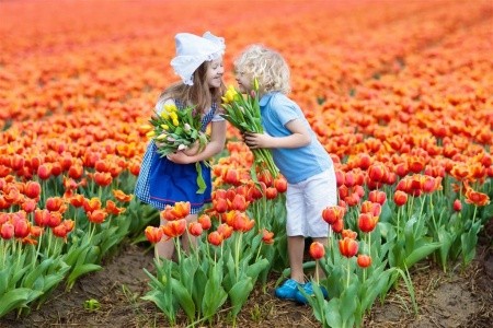 Amsterdam, Keukenhof, Květinový průvod a Holandské Benátky - 8