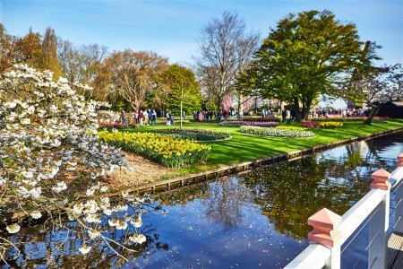 Amsterdam, pohádkový Giethoorn a rozkvetlý Keukenhof - 11