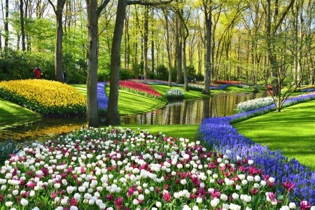 Amsterdam, pohádkový Giethoorn a rozkvetlý Keukenhof - 13