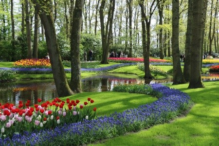 Amsterdam, pohádkový Giethoorn a rozkvetlý Keukenhof - 15
