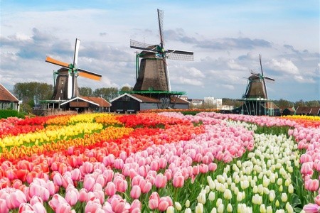 Amsterdam, pohádkový Giethoorn a rozkvetlý Keukenhof - 28