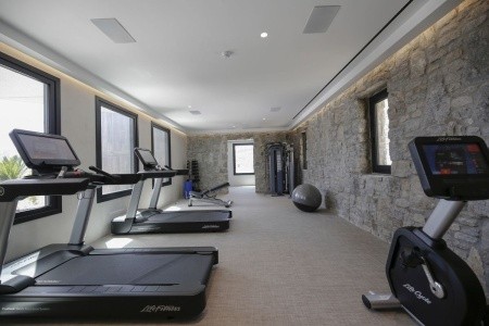 Grécko Mykonos Aeonic Suites & Spa 6 dňový pobyt Raňajky Letecky Letisko: Viedeň September 2026 ( 9/09/26-14/09/26)