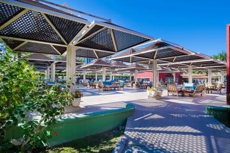 Kamelya Aishen Club - 91