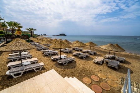 Notion Kesre Beach - 36
