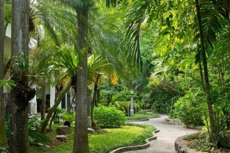 Sunshine Garden - 2