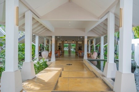 Sunshine Garden - 4