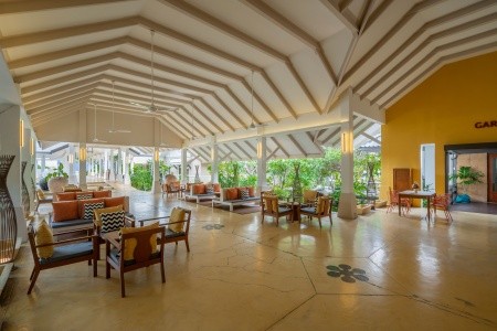 Sunshine Garden - 7
