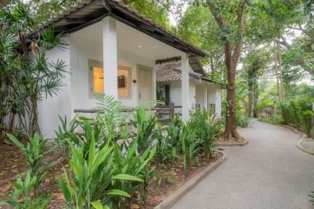 Sunshine Garden - 37