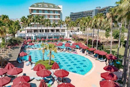 Trendy Palm Beach - 2