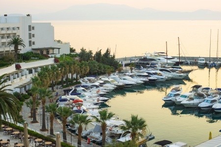 Altin Yunus - 5