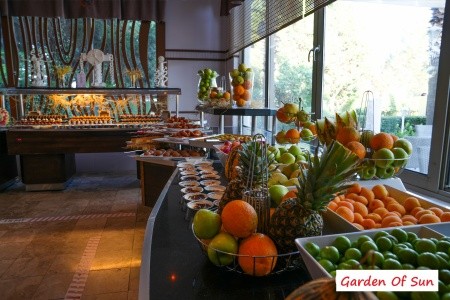 Garden Of Sun - 33
