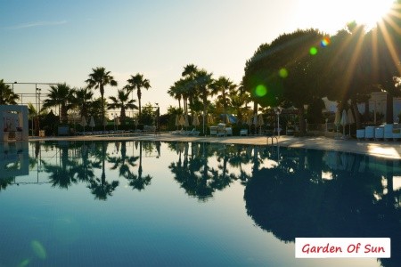 Garden Of Sun - 51