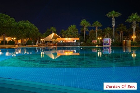 Garden Of Sun - 60