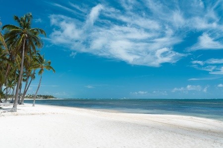 Catalonia Bavaro Beach & Golf Resort - 101