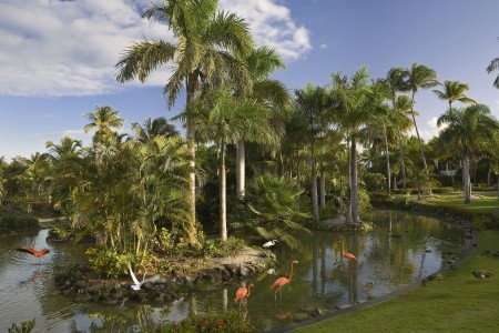 Melia Caribe Beach Resort - 4