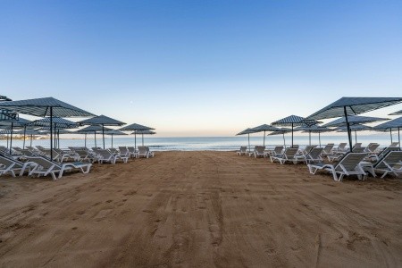 Aska Just In Beach - 48