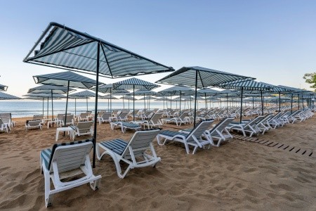 Aska Just In Beach - 49