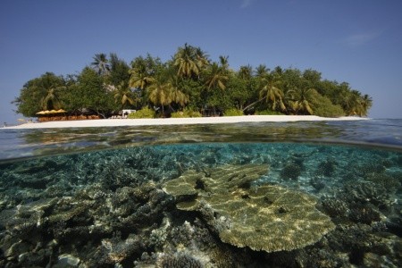 Dhawa Ihuru (Ex. Angsana Resort Ihuru) - 26