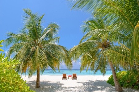 Dhawa Ihuru (Ex. Angsana Resort Ihuru) - 27