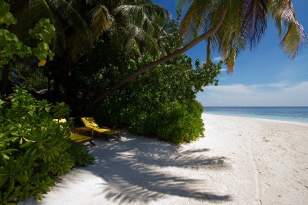 Dhawa Ihuru (Ex. Angsana Resort Ihuru) - 28