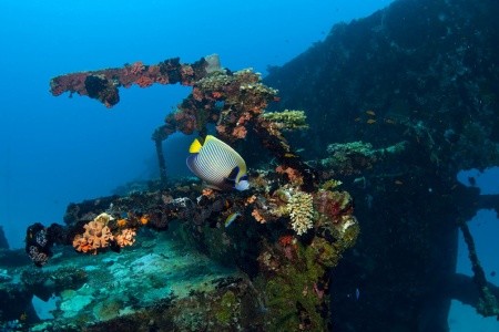Dhawa Ihuru (Ex. Angsana Resort Ihuru) - 35