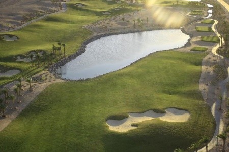 Jaz Neo Saraya Palms - 41