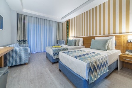 Lonicera Premium - 15