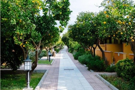 Özlem Garden - 5