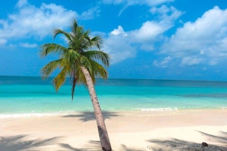 Maldivy Atol Ari Fiyavalhu Maldives 9 dňový pobyt Plná penzia Letecky Letisko: Praha January 2027 ( 1/01/26- 9/01/27)
